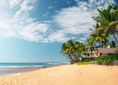 Top 7 Beaches in Sri Lanka for a Perfect Tropical Escape